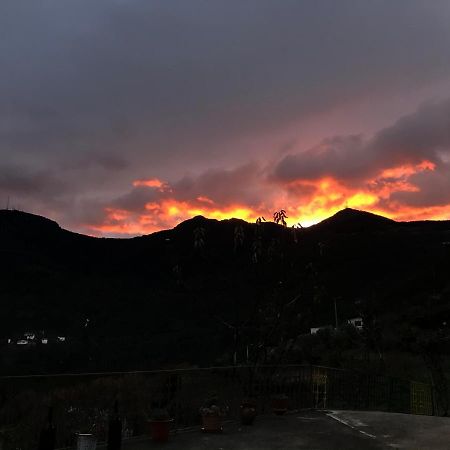 "Casa Da Russa" Mountain Experience Guest House Vila Real Exterior photo